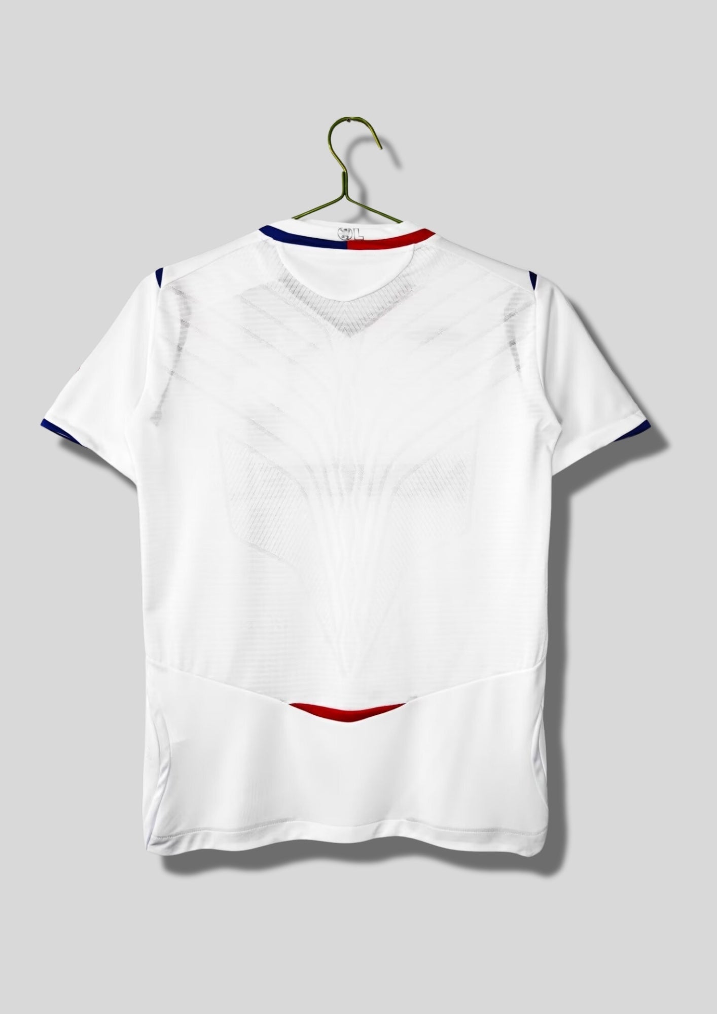 Olympique Lyonnais domicile 2008-2009 : maillot blanc Umbro avec une fine bande verticale bicolore rouge et bleue passant sous le blason, col en V bleu et rouge, sponsor Novotel. GoalKits