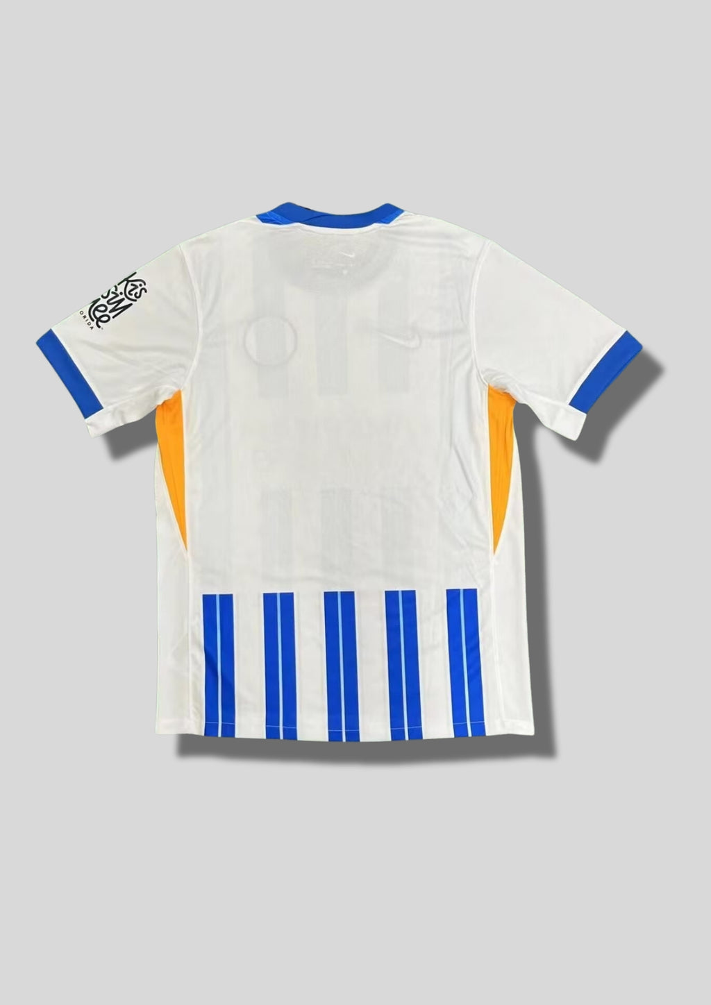 Maillot Brighton & Hove Albion Domicile – Édition Officielle "Seagulls" GoalKits