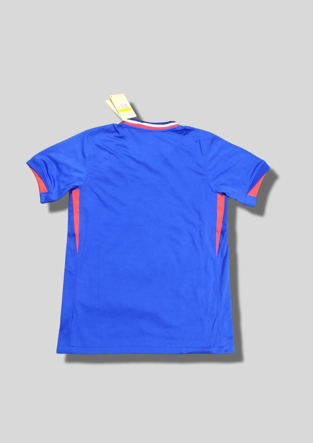 France Domicile Euro 2024 : Bleu vif, col tricolore, coq géant doré avec deux étoiles. GoalKits