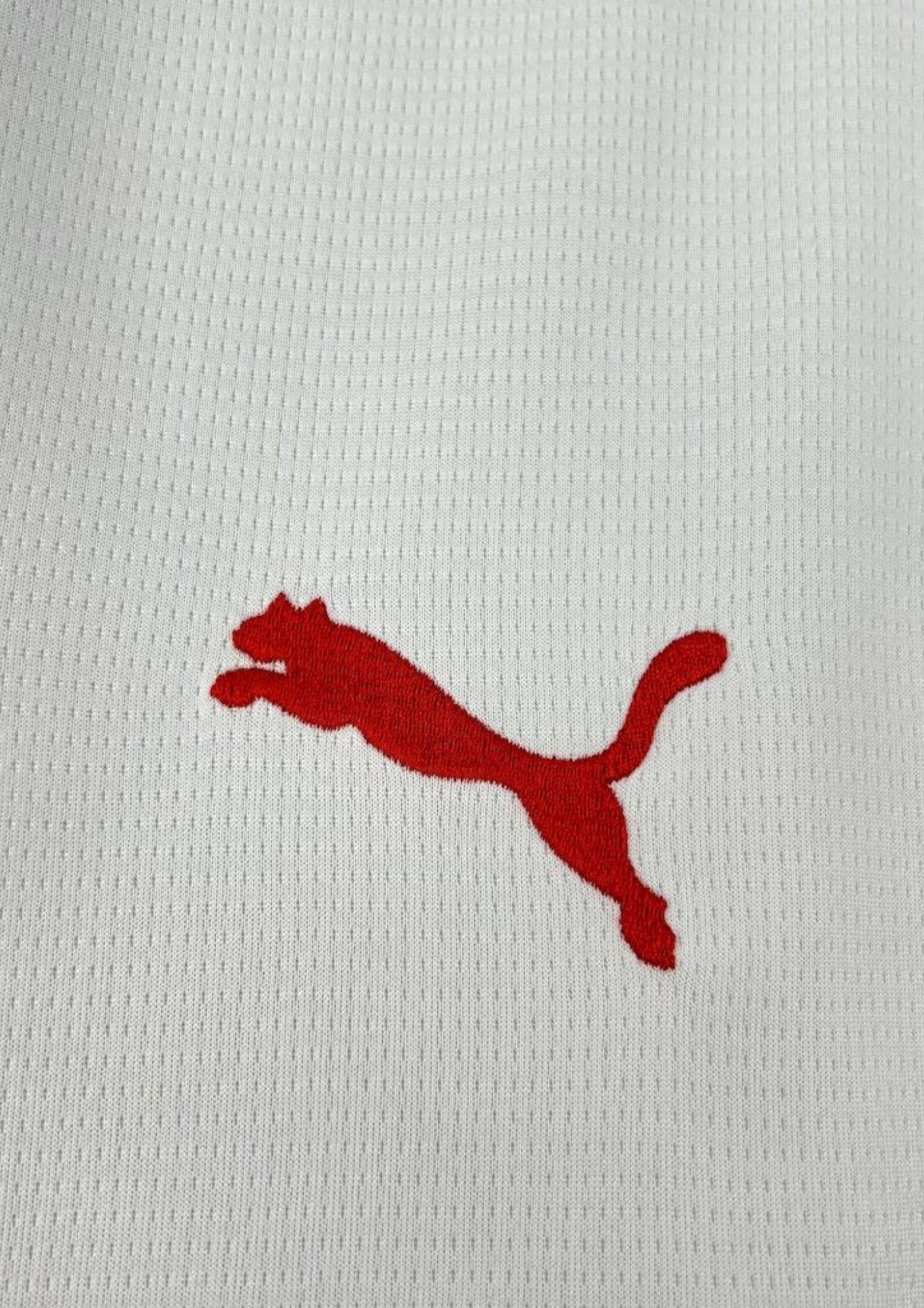 Maroc (Extérieur) Blanc, détails verts et rouges avec motifs traditionnels sur le col et les manches, logos Puma et FRMF. GoalKits