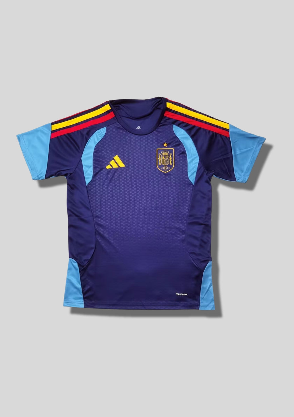 Espagne Training/Pre-Match 2024 (V2) : Bleu marine, manches et flancs bleu ciel, bandes tricolores (rouge/jaune) sur les épaules. GoalKits