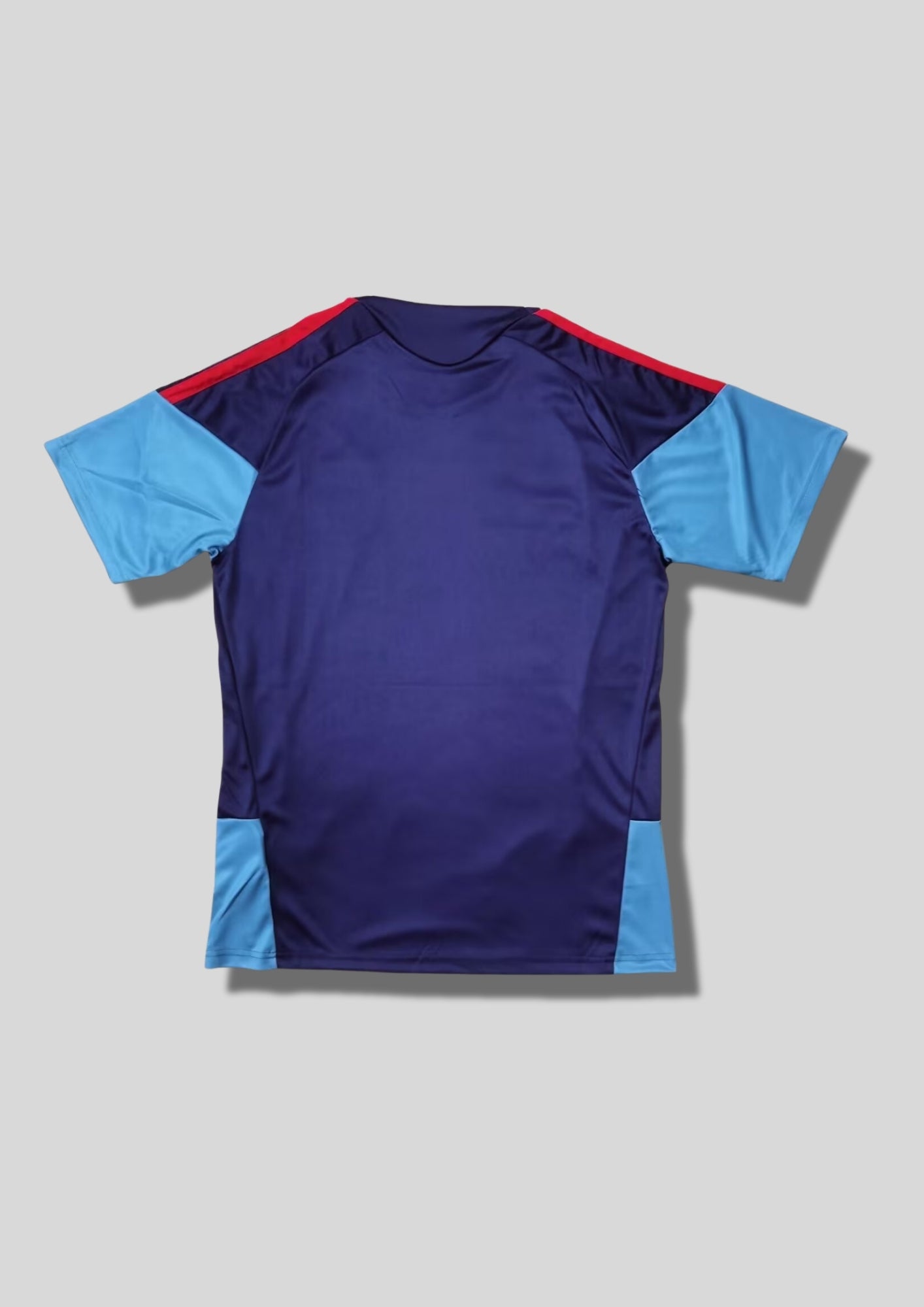 Espagne Training/Pre-Match 2024 (V2) : Bleu marine, manches et flancs bleu ciel, bandes tricolores (rouge/jaune) sur les épaules. GoalKits