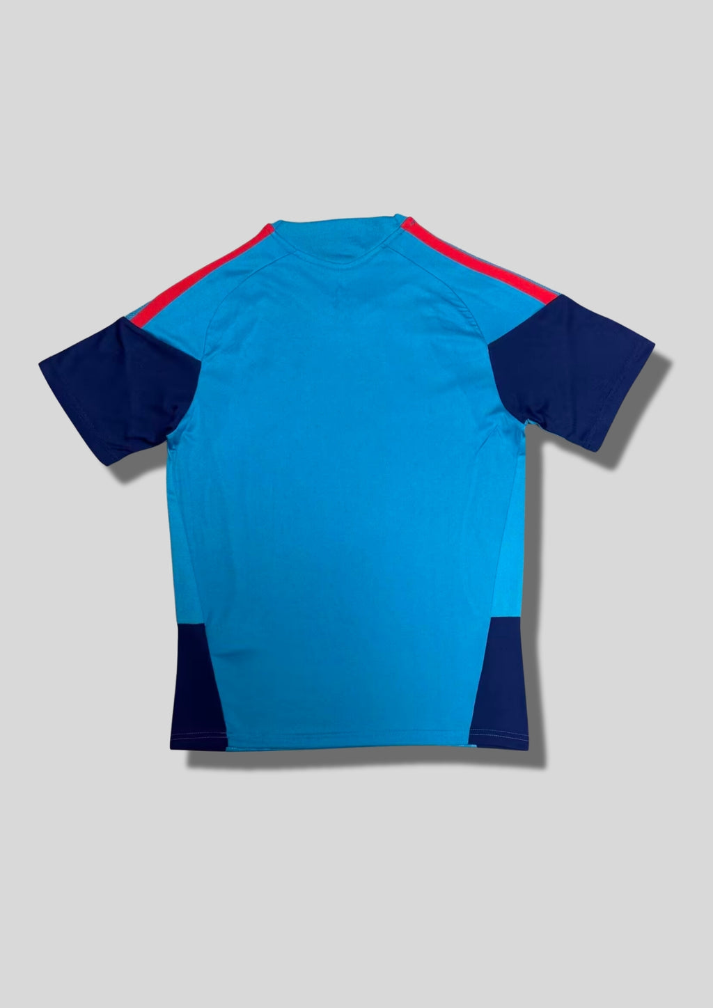 Espagne 2024 (Training) Bleu turquoise, manches marine, bandes tricolores épaules, logo jaune. GoalKits