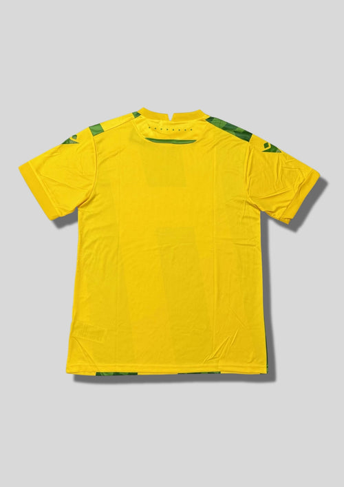 C Nantes extérieur 2024-2025 : maillot Macron présentant de larges bandes verticales jaunes et vertes, ces dernières étant ornées de motifs géométriques ton sur ton, avec le sponsor SYNERGIE en rouge. GoalKits