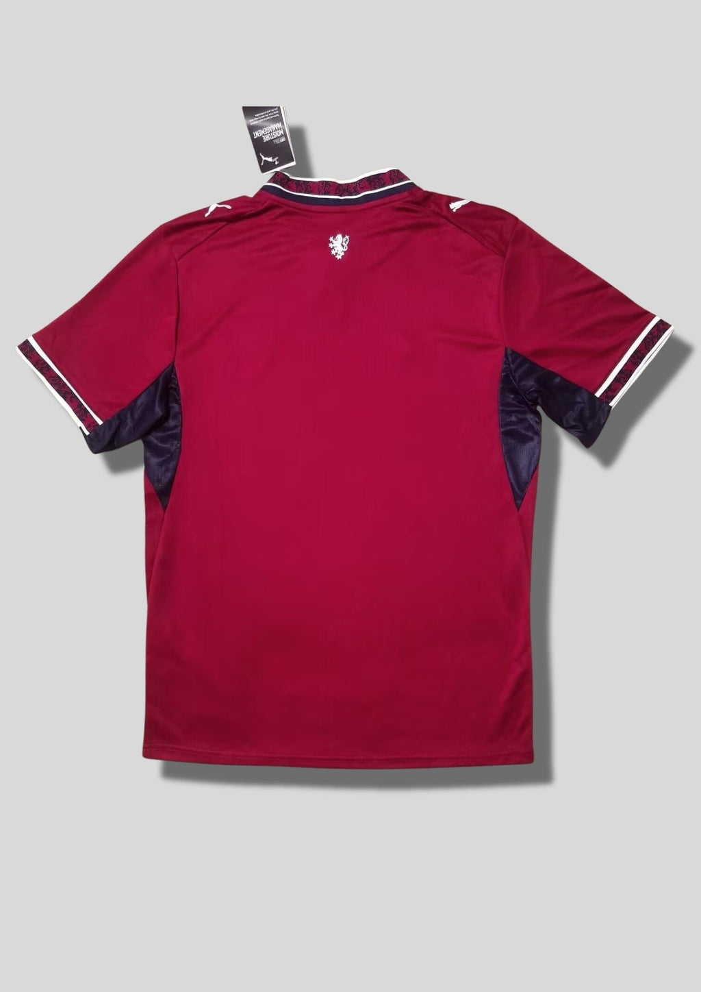 Maillot République Tchèque – Édition "Czech Lion" Premium GoalKits