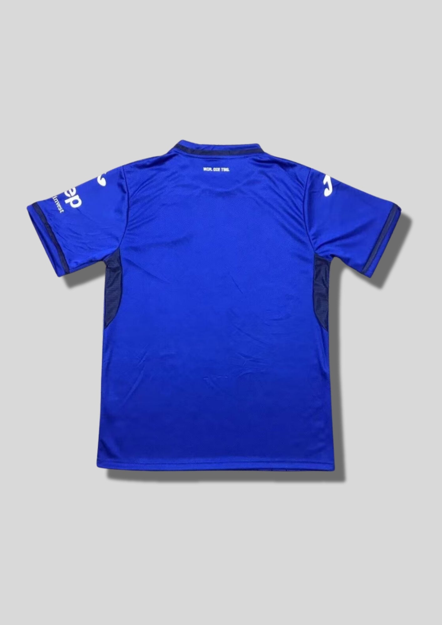 Maillot Hoffenheim Domicile 24/25 - Bleu & Fines Rayures Verticales GoalKits