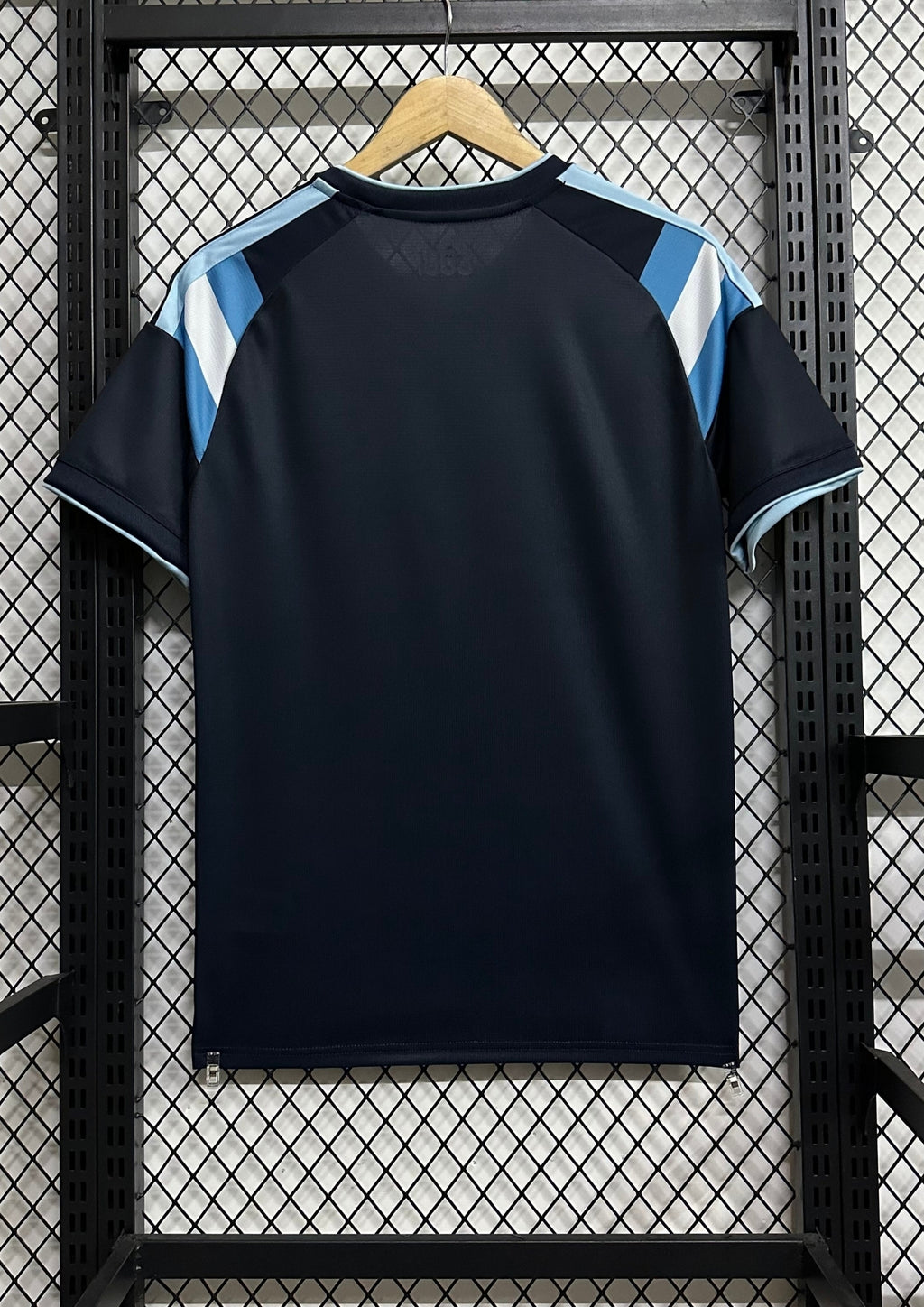 Argentine 2024 (Training/Pre-Match) Bleu marine, large chevron poitrine ciel et blanc, détails dorés. GoalKits