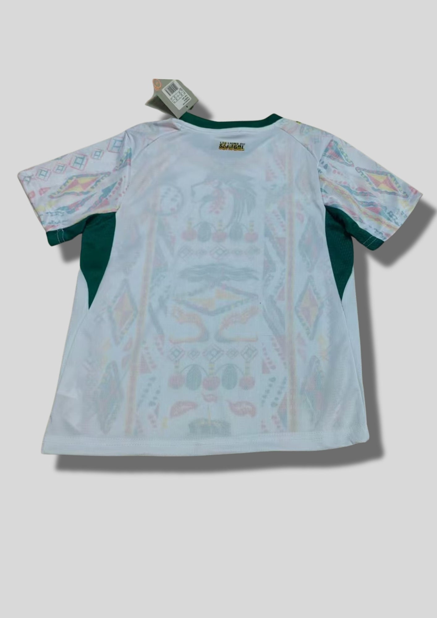 Maillot Sénégal – Édition "Lions de la Teranga" GoalKits